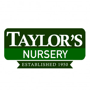 Taylor_s Nursery