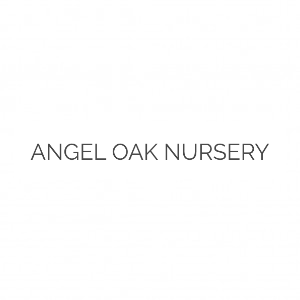 Angel Oak Nursery