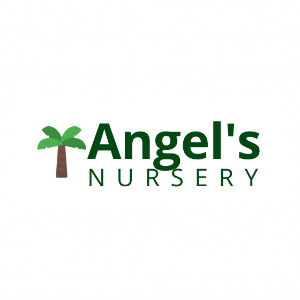 Angel_s Nursery