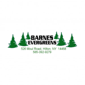 Barnes Evergreens