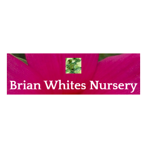 Brian Whites Nursery