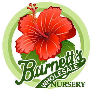 Burnett_s Wholesale Nursery