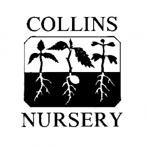 Collins Nursery