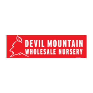 Devil Mountain Wholesale Nursery