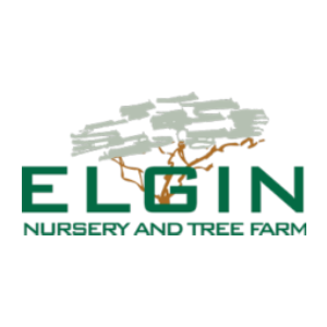 Elgin Nursery _ Tree Farm
