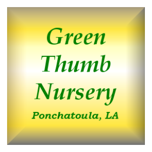 Green Thumb Nursery