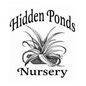 Hidden Ponds Nursery