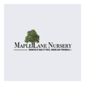 Maple Lane Nursery