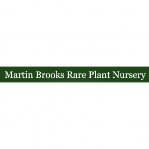 Martin Brooks Rare Plant Nursery