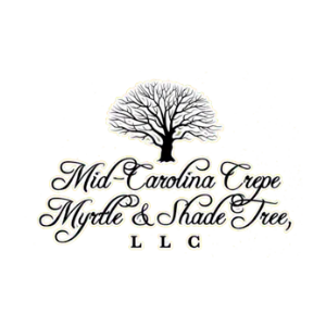 Mid-Carolina Crepe Myrtle _ Shade Tree