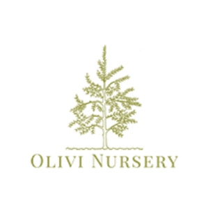 Olivi Nursery