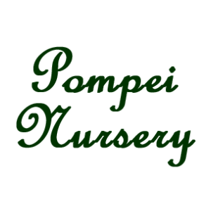Pompei Nursery