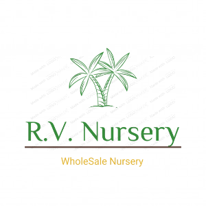 R.V. Nursery