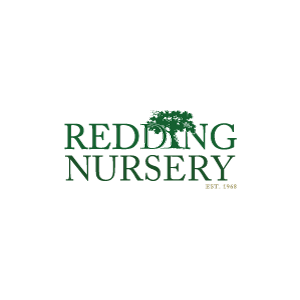 Redding Nursery