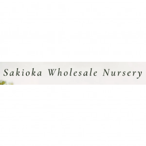 Sakioka Wholesale Nursery
