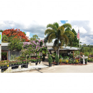 Scott's Landscape Nursery