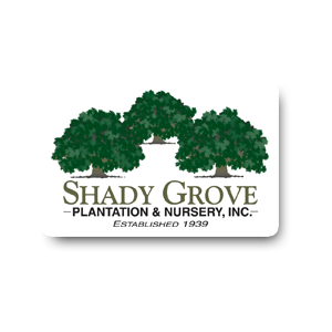 Shady Grove Plantation _ Nursery