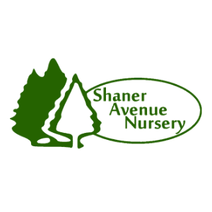 Shaner Avenue Nursery