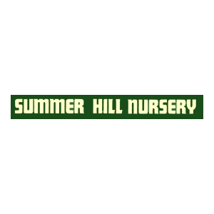 Summer Hill Nursery