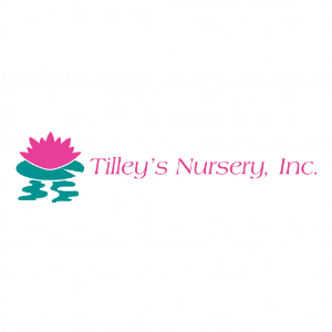 Tilley's Nursery, Inc.