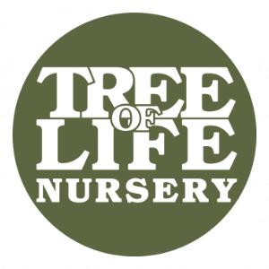 Tree of Life Nursery