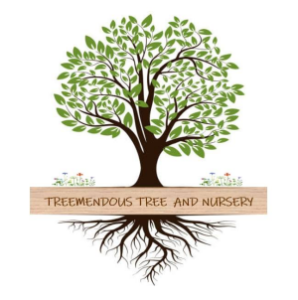Treemendous Tree and Nursery