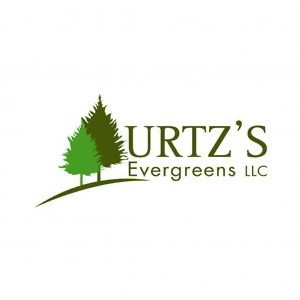 Urtz_s Evergreen
