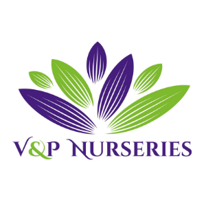 V_P Nurseries