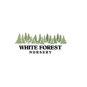 White Forest Nursery