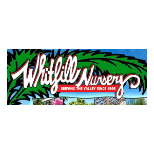 Whitfill Nursery