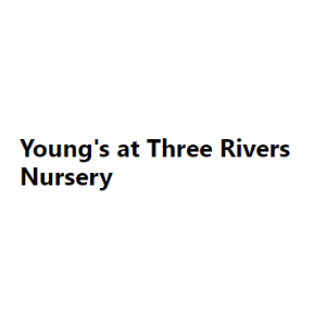 Young_s at Three Rivers