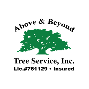 Above _ Beyond Tree Service