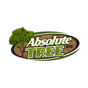Absolute Tree Inc.