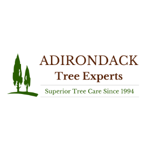 Adirondack Tree Experts