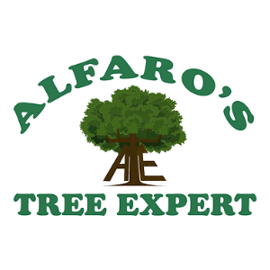 Alfaros Tree Expert