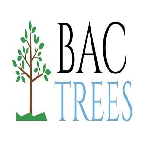 BAC Trees