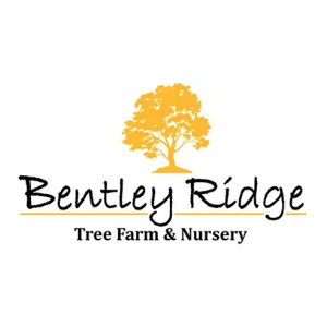 Bentley Ridge Tree Farm _ Nursery