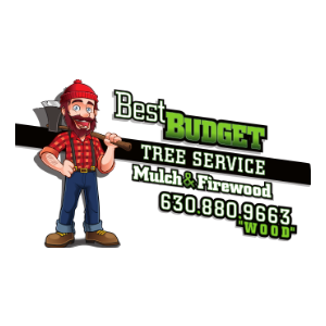 Best Budget Tree Service Mulch and Firewood