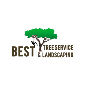 Best Tree Service and Landscaping
