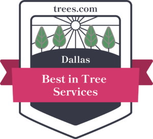 Best Tree Services in Dallas, Texas Badge