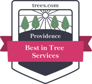 Tree Service Powder Springs Ga