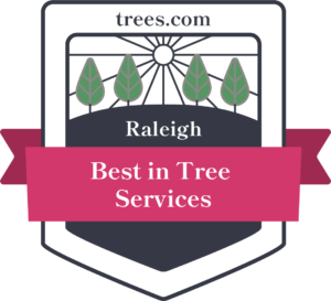 allen tree service cary nc