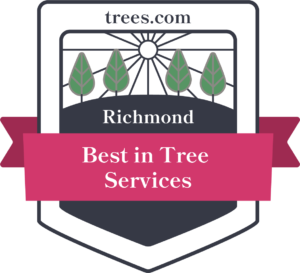 Best Tree Services in Richmond, Virginia Badge