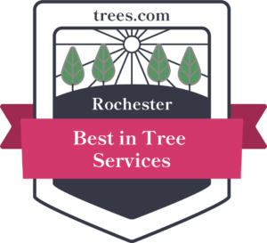 Best Tree Services in Rochester, New York Badge