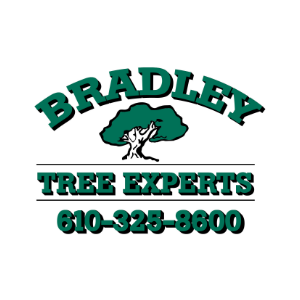 Bradley Tree Experts