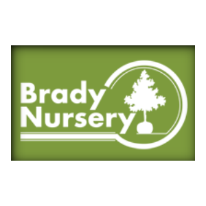 Brady Nursery