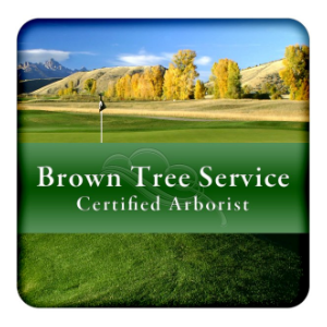 Brown Tree Company Inc.