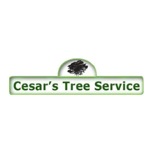 Cesar_s Tree Service