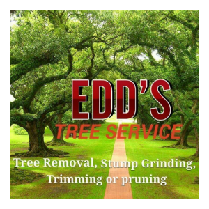 Edd_s Tree Service
