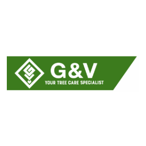 G_V Tree Service